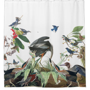 Para Chuveiro Cortina de chá de Audubon dos pássaros da colage