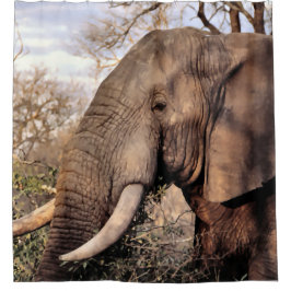 Para Chuveiro Cortina de Chá de Elefante