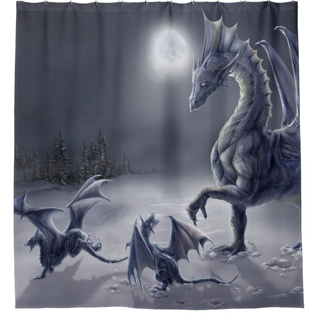 Para Chuveiro Cortina de chá do dia da neve (Frente)