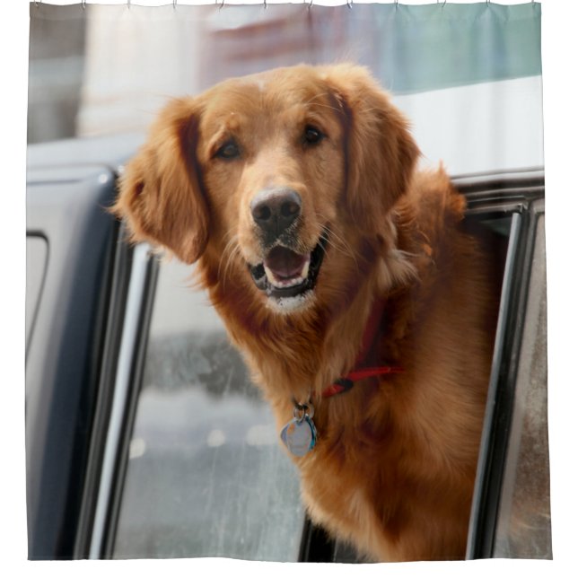 Para Chuveiro Cortina de Chá Hi (Frente)