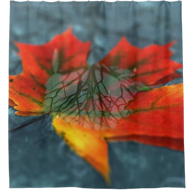 Para Chuveiro Cortina do Chá de Retroreflecção (Frente)