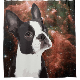 Para Chuveiro Engraçado Boston Terrier na Cortina do Chá Espac