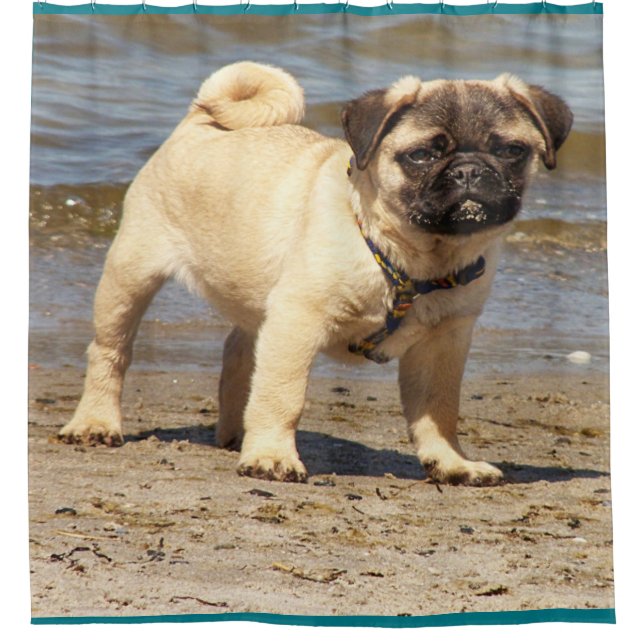 Para Chuveiro pequena cortina de chá de puto (Frente)