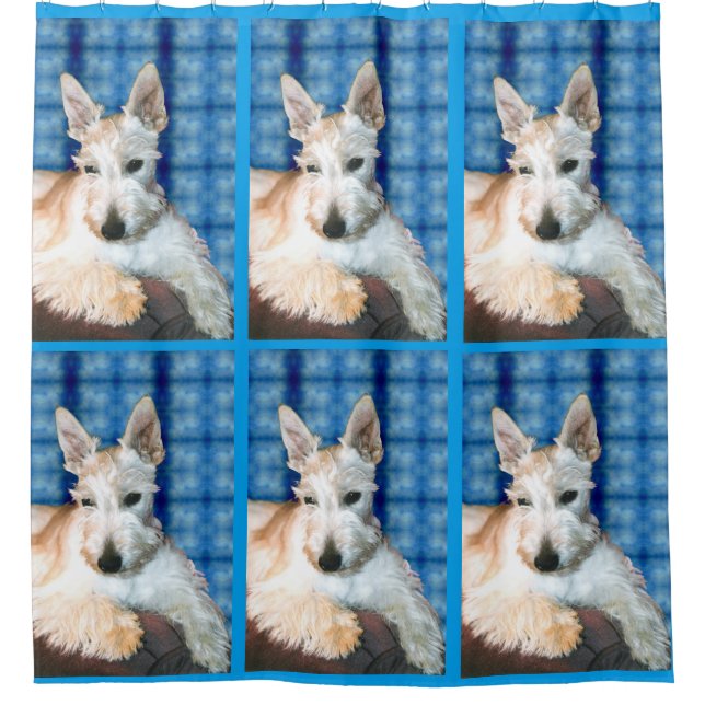 Para Chuveiro Whaten Scottie Chá Cortina (Frente)