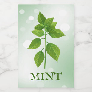 Para Comida Rótulo de Herbos de Mint