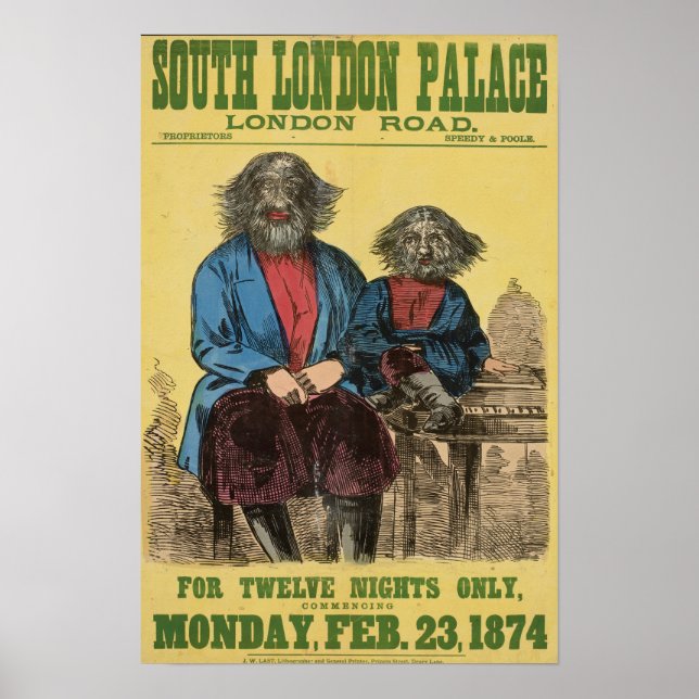 Para doze noites apenas Poster (Frente)