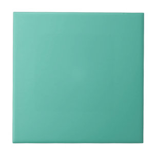 Para Dustin - Miami Teal
