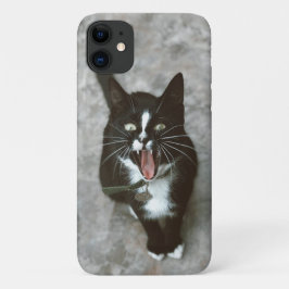 Para iPhone 11 Capa de telefone de Gato Irritado - Design Negrito
