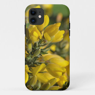 Para iPhone 11 Capa de telefone Floral de Gorse Amarelo