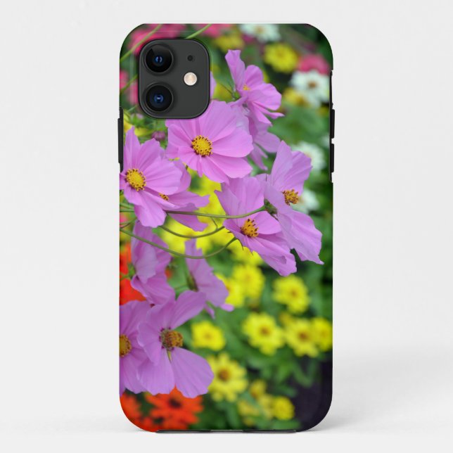 Para iPhone 11 Lindas flores do cosmos Mal Há capa de telefone (Verso)