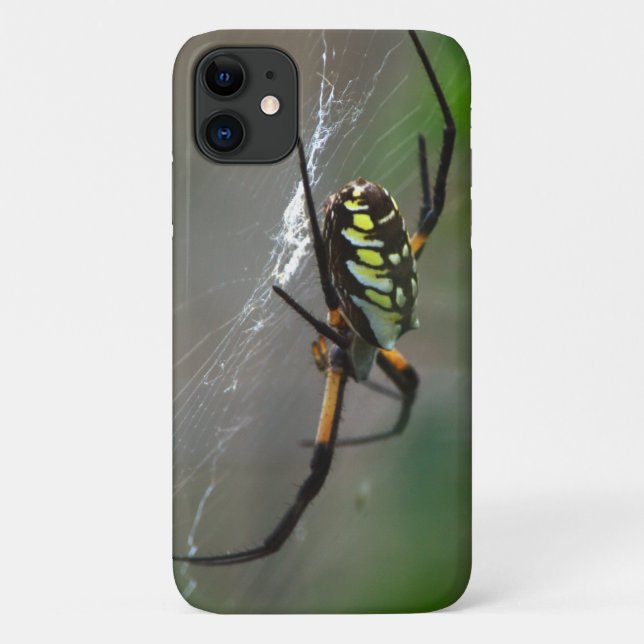 Para iPhone 11 Orb Weaver Spider Fechar Capa de telefone (Verso)