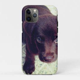 Para iPhone 11 Pro Capa de telefone de puppy