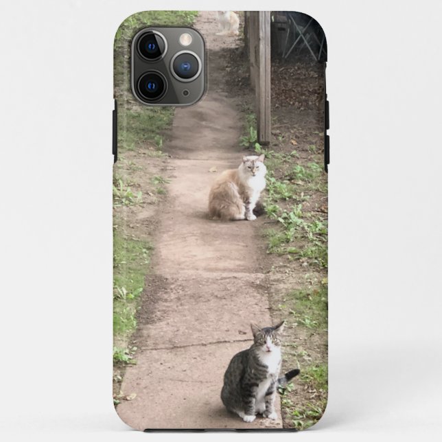 Para iPhone 11 Pro Max Capa de telefone de gatos (Verso)
