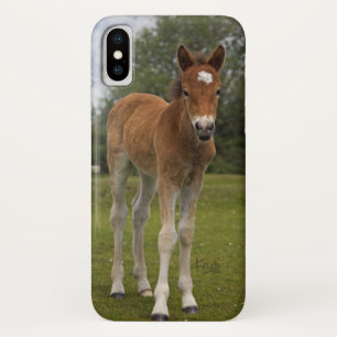 Capa Para iPhone X Capa de iPhone X de Potro
