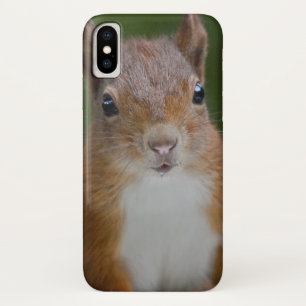 Capa Para iPhone Da Case-Mate Capa de iPhone X Esquilo Sedento