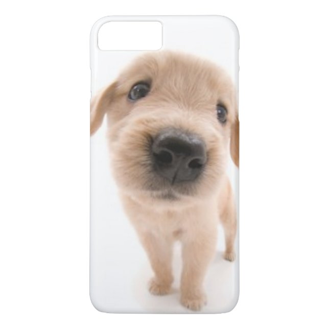 Para iPhone, Case-Mate Capa de telefone do golden retriever (Verso)