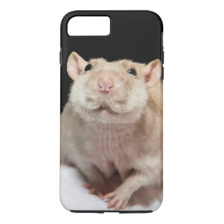 Para iPhone Da Case-Mate Capa de telefone rato