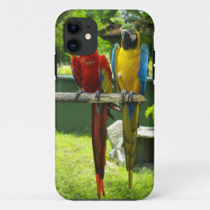 Para iPhone Da Case-Mate Capa de telefone do Macaw
