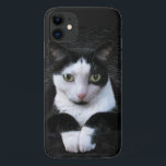 Para iPhone Da Case-Mate Capa de telefone Tuxedo Cat<br><div class="desc">Tuxedo #Cat #PhoneCase. Envie-me um e-mail se você quiser este design em qualquer outro dispositivo e ele não for ajustado: aura2000design[em]gmail.com</div>