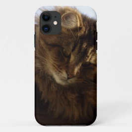 Para iPhone Da Case-Mate Maine Coon Cat Pet Capa de telefone