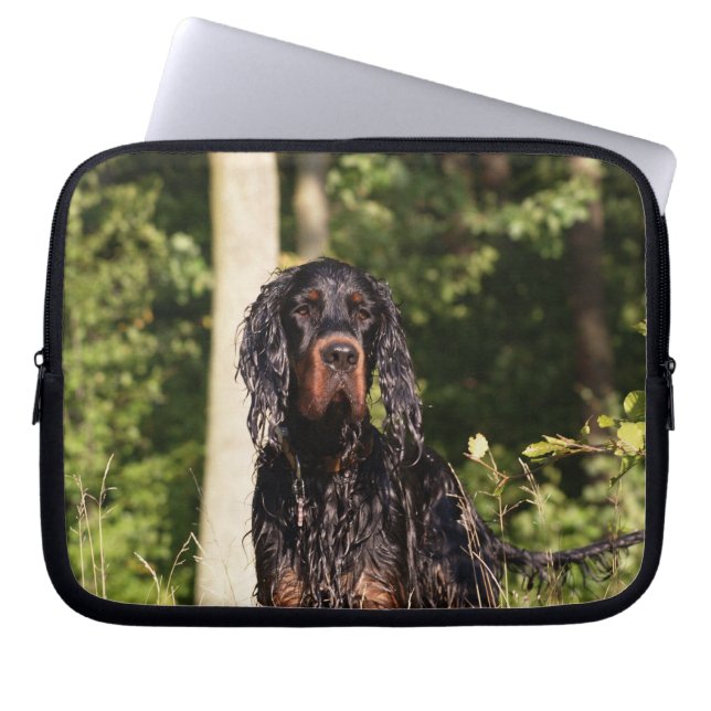 Para Notebook Capa de computador com Laptop Wet Gordon Setter (Frente)