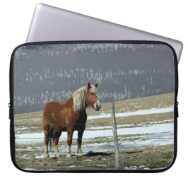 Para Notebook Capa de Laptop Cavalo de Tração Belga no Paddock