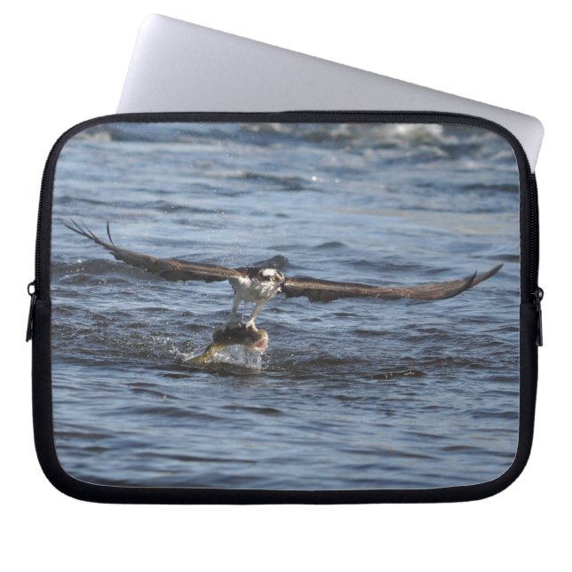 Para Notebook Capa Selvagem de Raptor de Osprey Voando (Frente)
