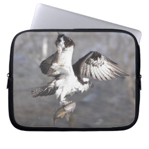 Para Notebook Capa Selvagem de Raptor de Osprey Voando