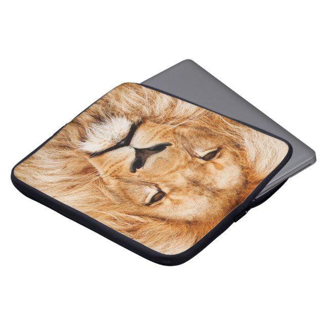 Para Notebook Laptop de Leões Capa Computador (Frente Topo)