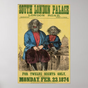 Para o poster de doze noites somente