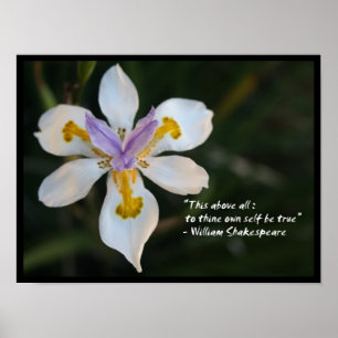 Para o seu próprio ser um verdadeiro poster de cit