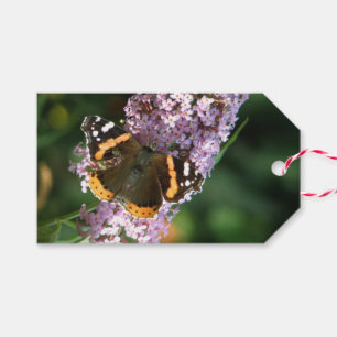 Para Presente Borboleta Admirável Vermelha e Etiqueta de Presen