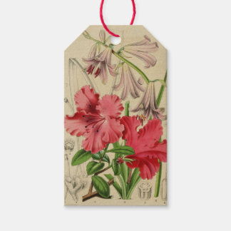 Para Presente Etiqueta de Flores Vintage