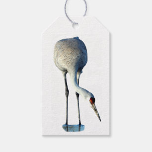 Para Presente Etiqueta de Foto do Sandhill Crane