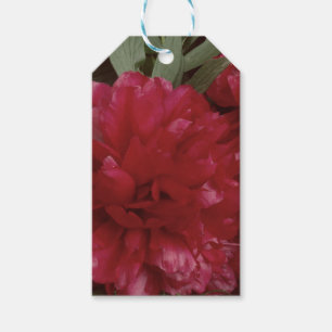 Para Presente Etiqueta de presentes de foto da Flor de Pêonias V