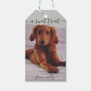Para Presente Etiqueta de Tratamento de Cães