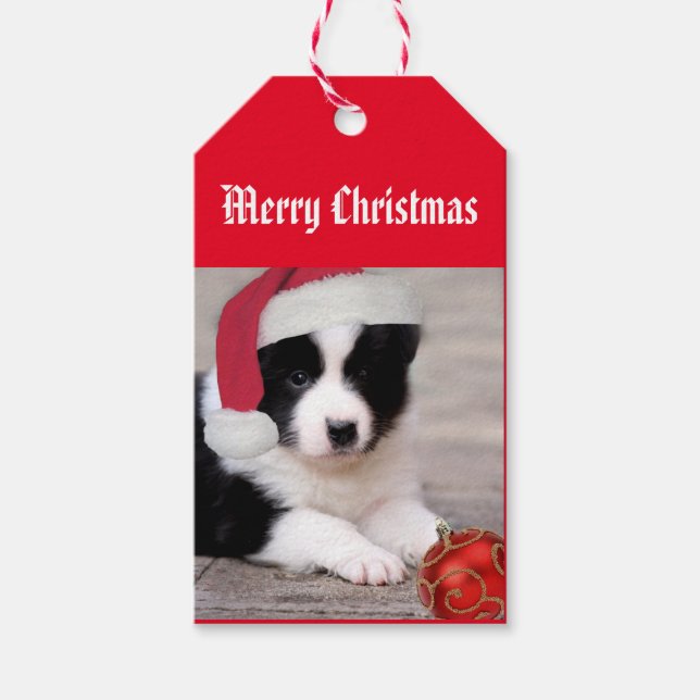 Para Presente Feliz Natal - Etiqueta "Border Collie" (Frente)
