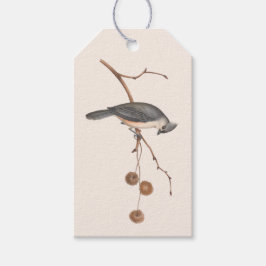 Para Presente Mínimo rosa e Cinza Pássaro de inverno Etiqueta de