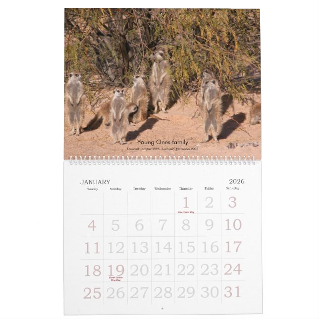 Para sempre amigos - calendário de Meerkat (Jan 2026)