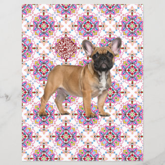 Para vender folheto de cachorro Frenchies