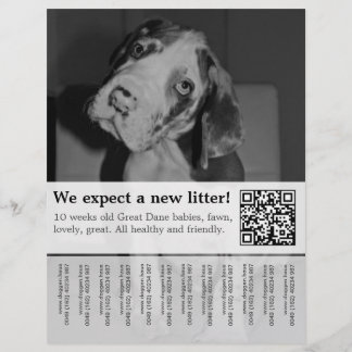 Para vender o Black White Puppies Flyer