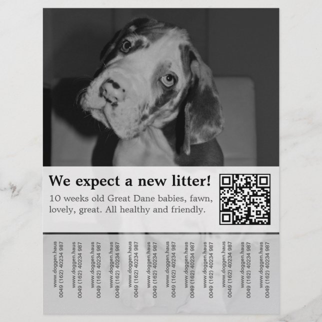 Para vender o Black White Puppies Flyer (Frente)