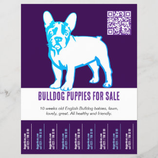 Para vender o Buldogue Flyer