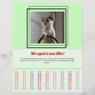 Para vender o Puppies Flyer