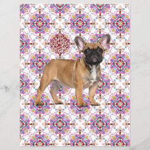 Para vender Panfleto de Filhote Frenchie