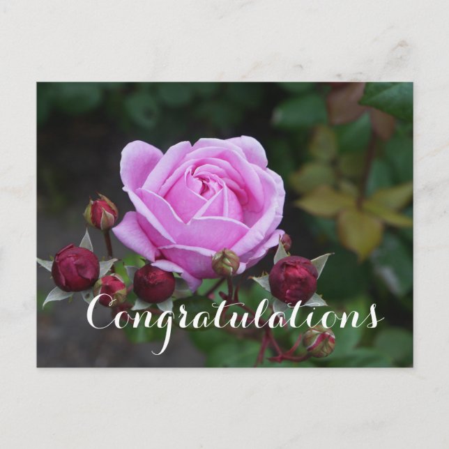 Parabéns Bishop’s Castle  #1 Cartão Postal (Frente)