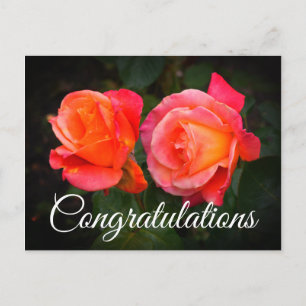 Parabéns Broadway Rose #1 Cartão Postal