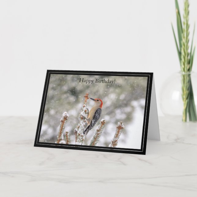 Parabéns Cartão de Aniversário, Pica-Pau De Belém  (Frente)