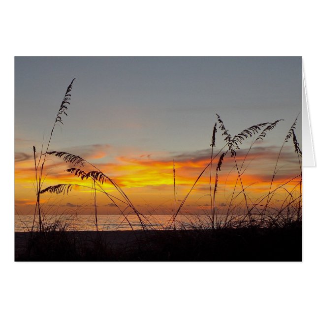 Parabéns Cartão de Saudação Sunset e Sea Oats (Frente horizontal)