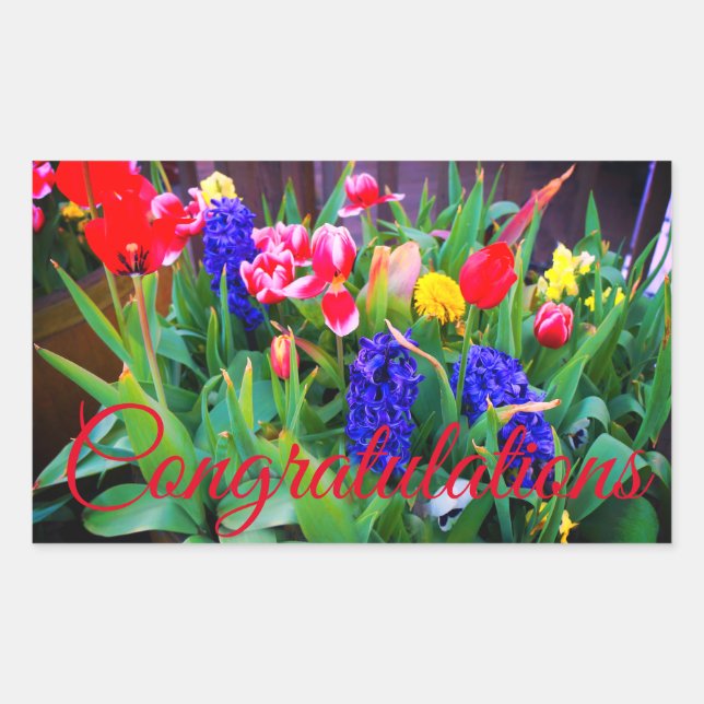 Parabéns Flores de Mola 3 Adesivos (Frente)